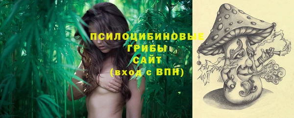 прущий лед Алексеевка