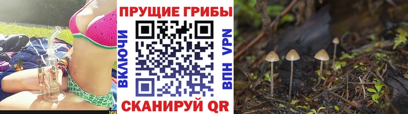 Псилоцибиновые грибы мухоморы  OMG ССЫЛКА  Жуков 