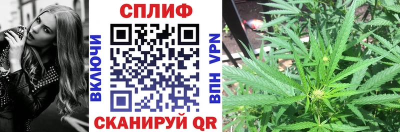 Канабис сатива Жуков